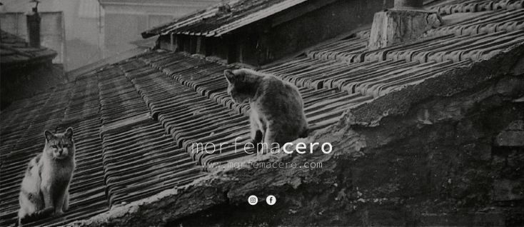 Historia de un&nbsp;gato