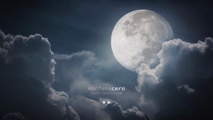 Las reglas de la&nbsp;ilusión