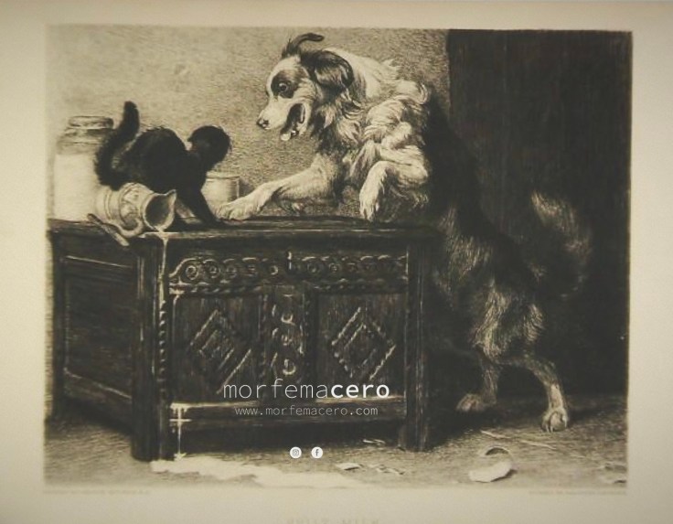 Divagación sobre los&nbsp;gatos