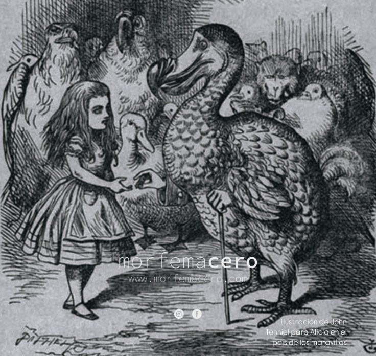 El emperador, el esclavo y los&nbsp;dodos