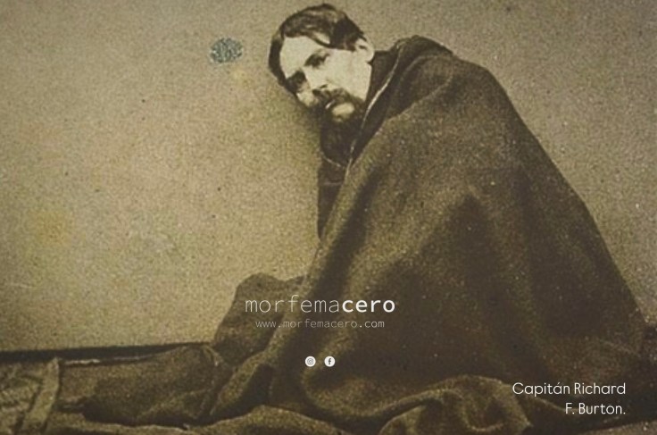  Halcón entre cuervos